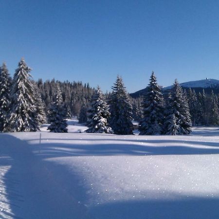 Chalet Daria Prémanon Eksteriør billede