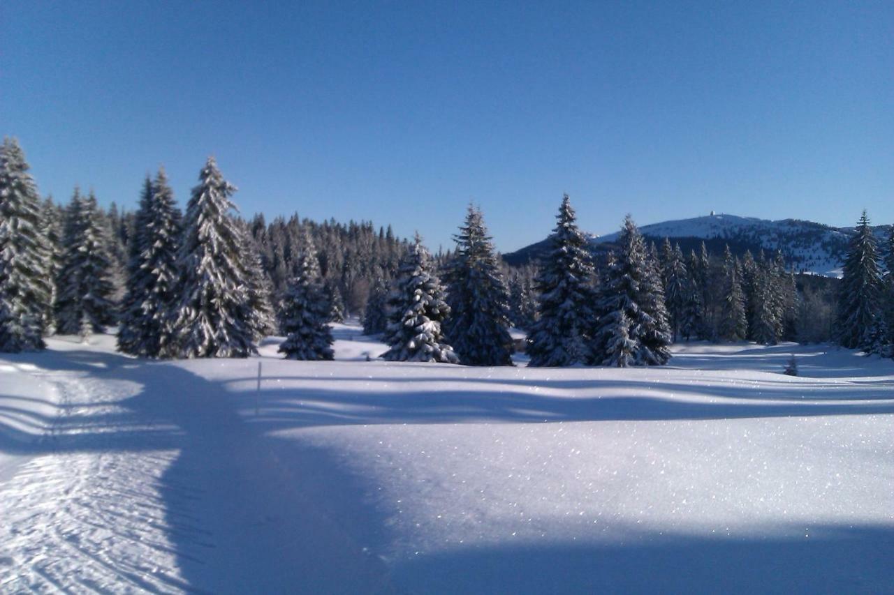 Chalet Daria Prémanon Eksteriør billede