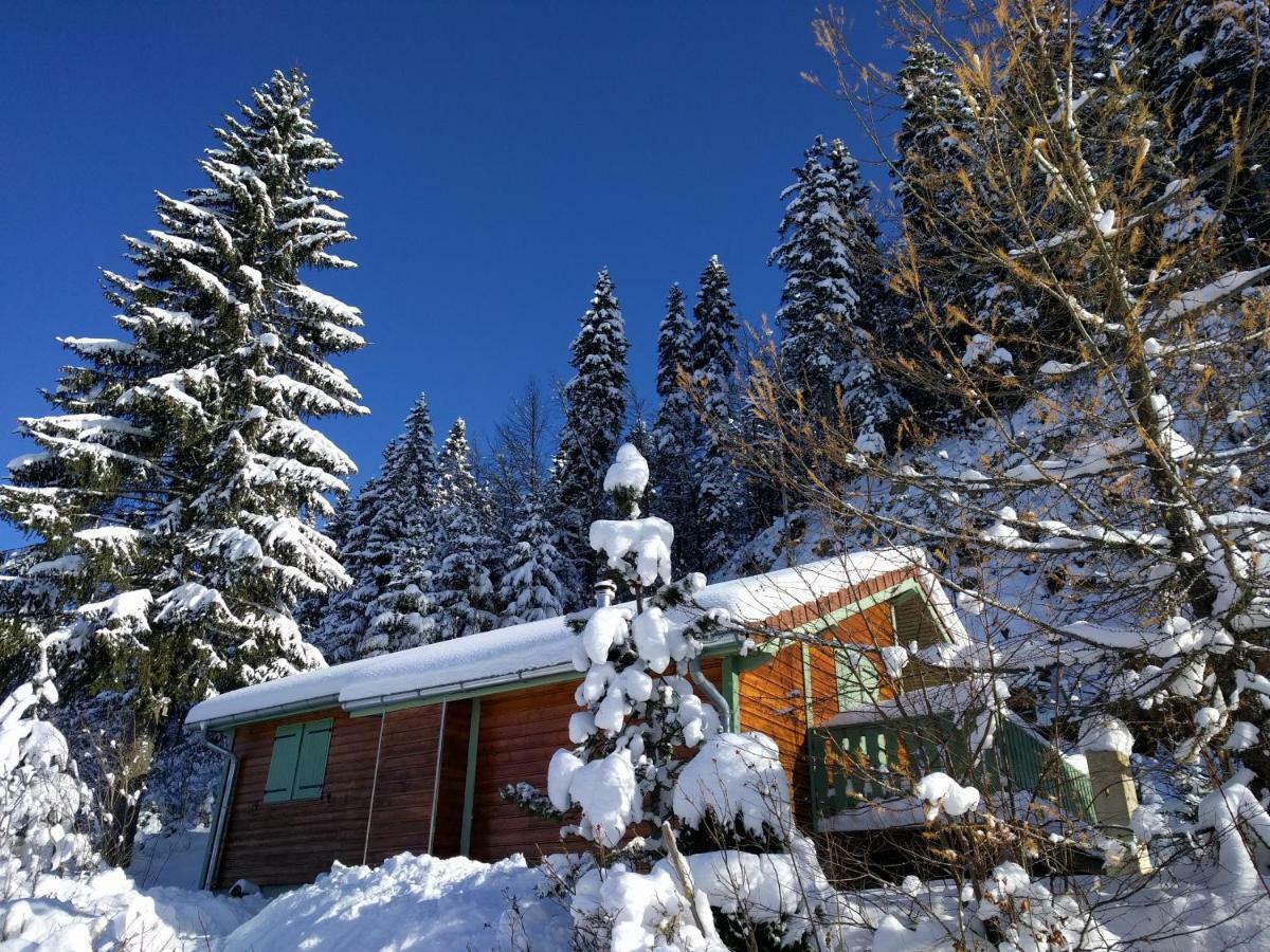 Chalet Daria Prémanon Eksteriør billede